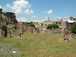  herbes folles sur le forum romain